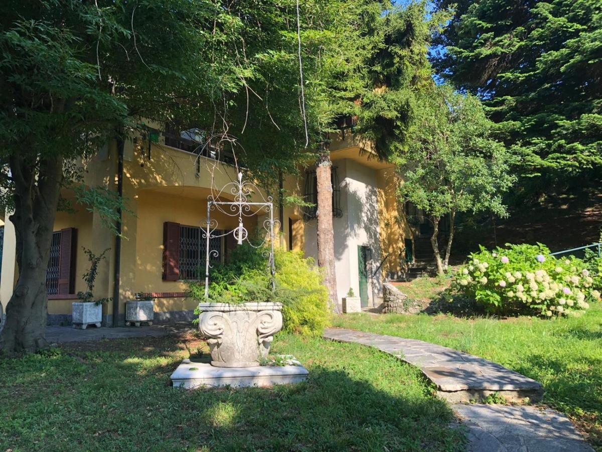 Villa Dei Cedri Asso Exteriér fotografie